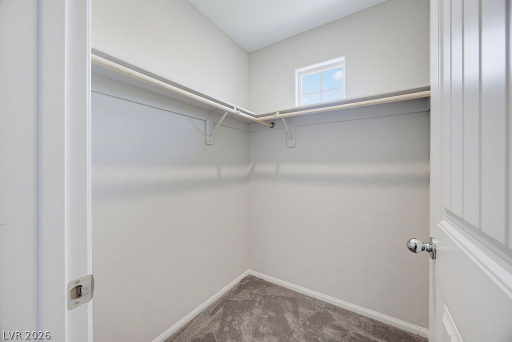 10661 Sariah Skye Avenue Property Photo 43