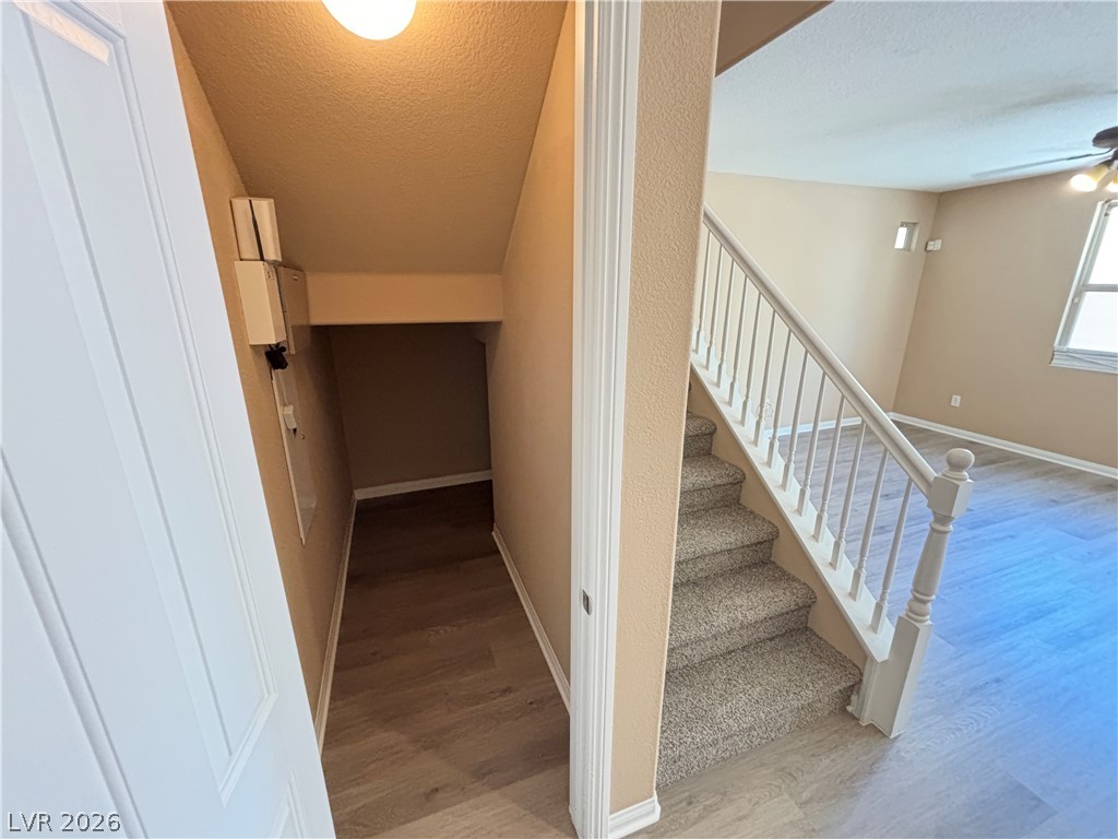 10741 Cather Avenue Property Photo 20