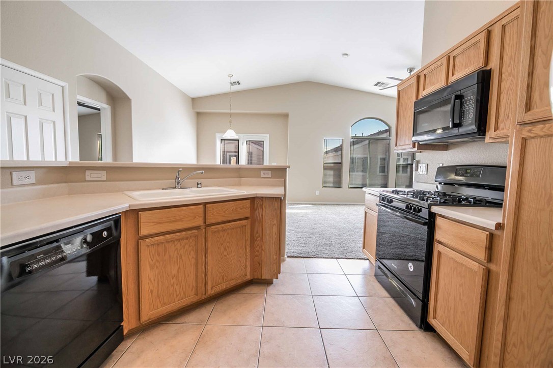 6590 Tumbleweed Ridge Lane 101 Property Photo 13