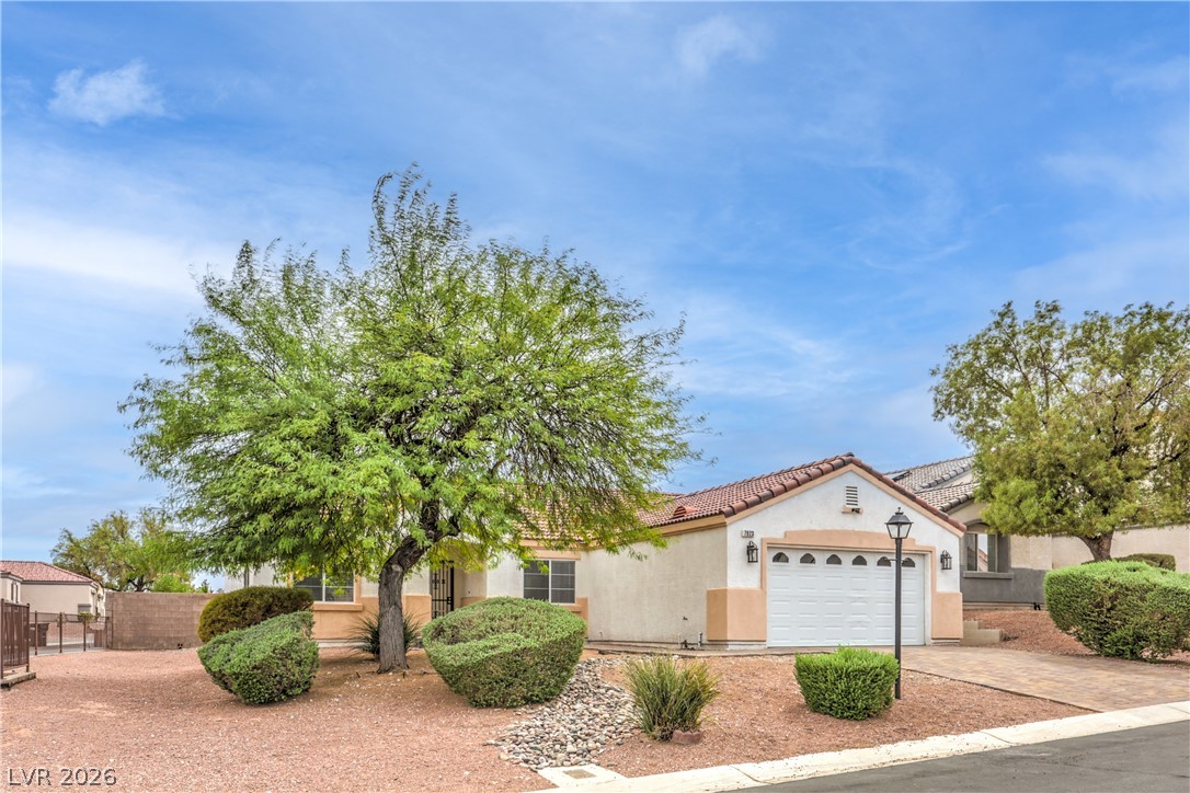 7923 Villa Salsa Avenue Property Photo 2