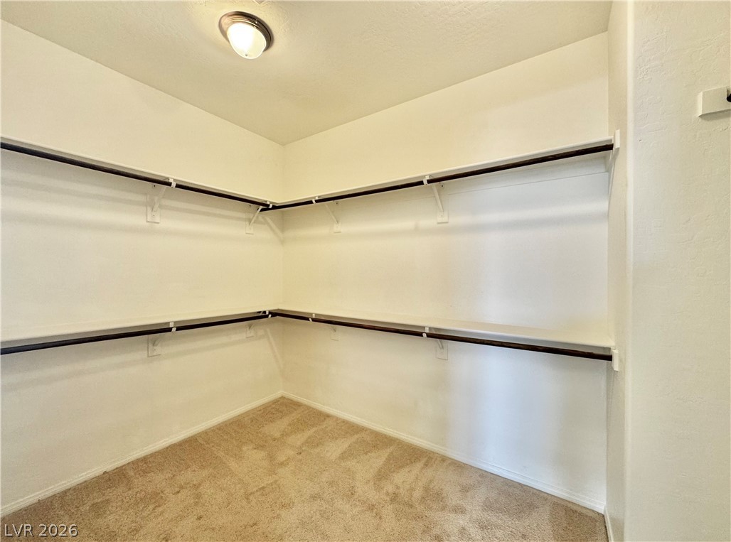 10037 White Mulberry Drive Property Photo 42