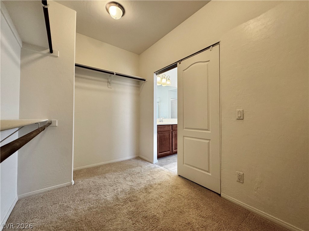 10037 White Mulberry Drive Property Photo 44