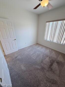 3041 Lehman Cave Court Property Photo 15
