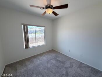 3041 Lehman Cave Court Property Photo 16