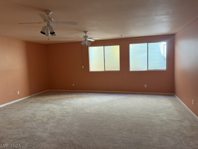8640 Castle Hill Avenue Property Photo 25