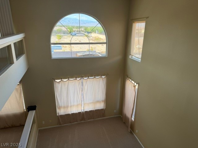 8640 Castle Hill Avenue Property Photo 28
