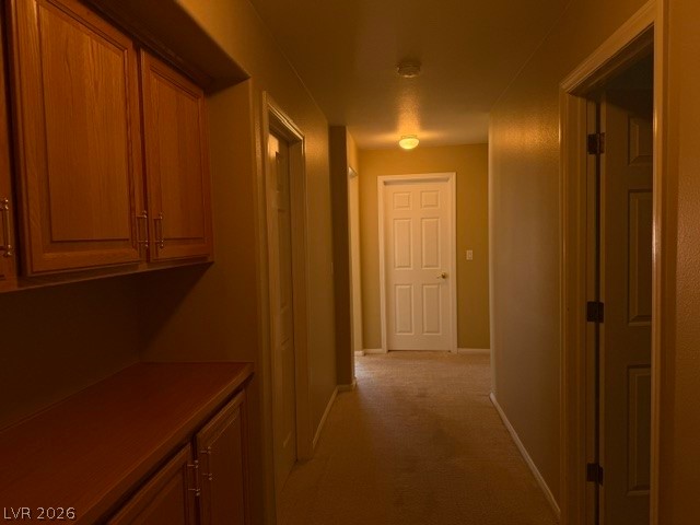 8640 Castle Hill Avenue Property Photo 47