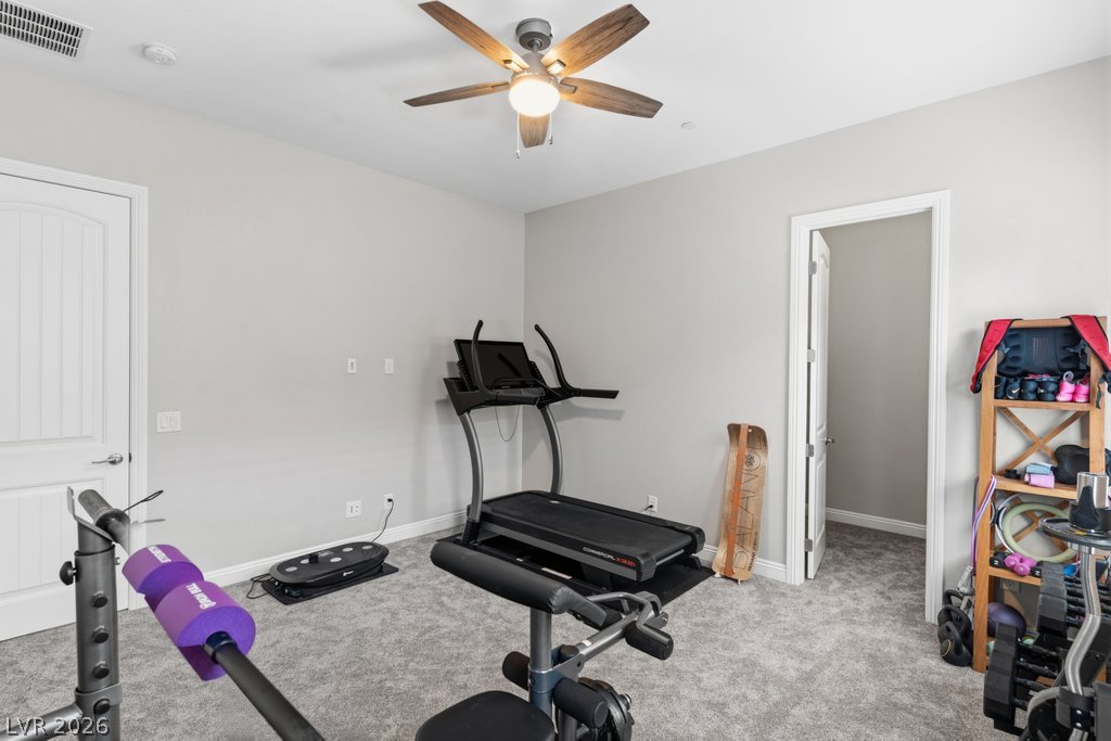 10360 Mystic Ledge Court Property Photo 54