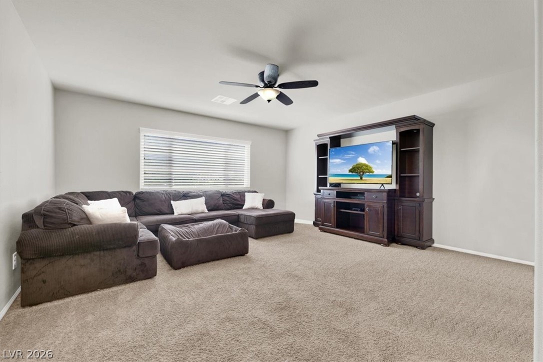 10521 Sparks Summit Lane Property Photo 18