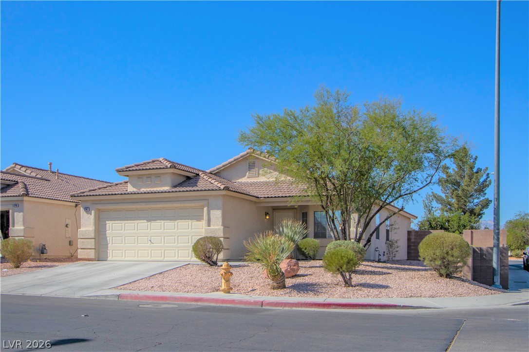 3747 Shadow Tree Street Property Photo 3