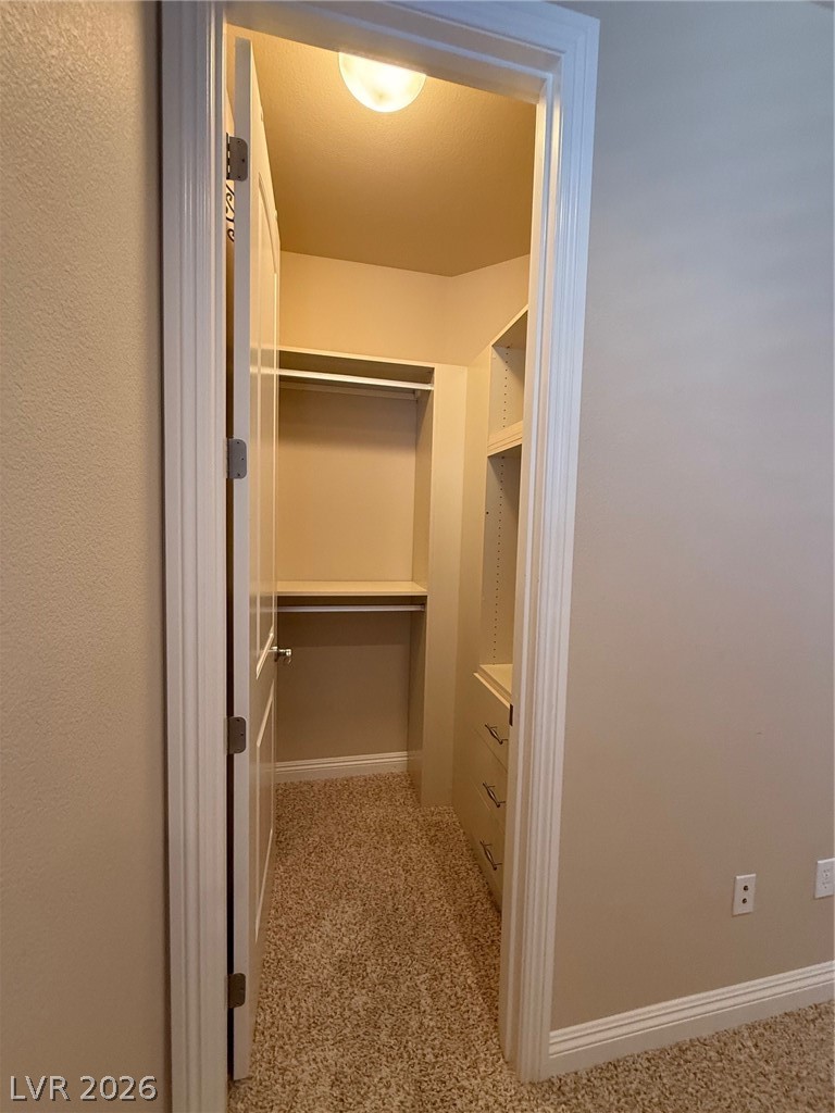 11255 Corsica Mist Avenue Property Photo 29