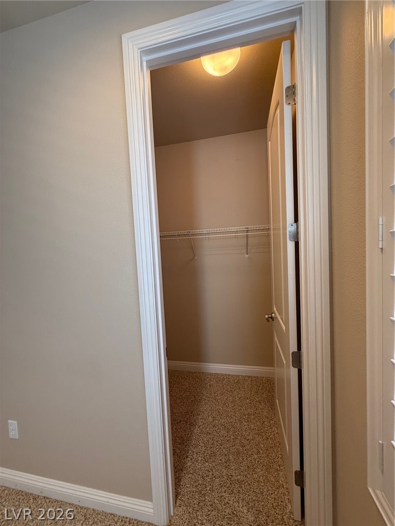 11255 Corsica Mist Avenue Property Photo 32
