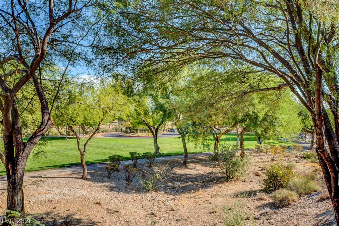 1717 Royal Canyon Drive Property Photo 63
