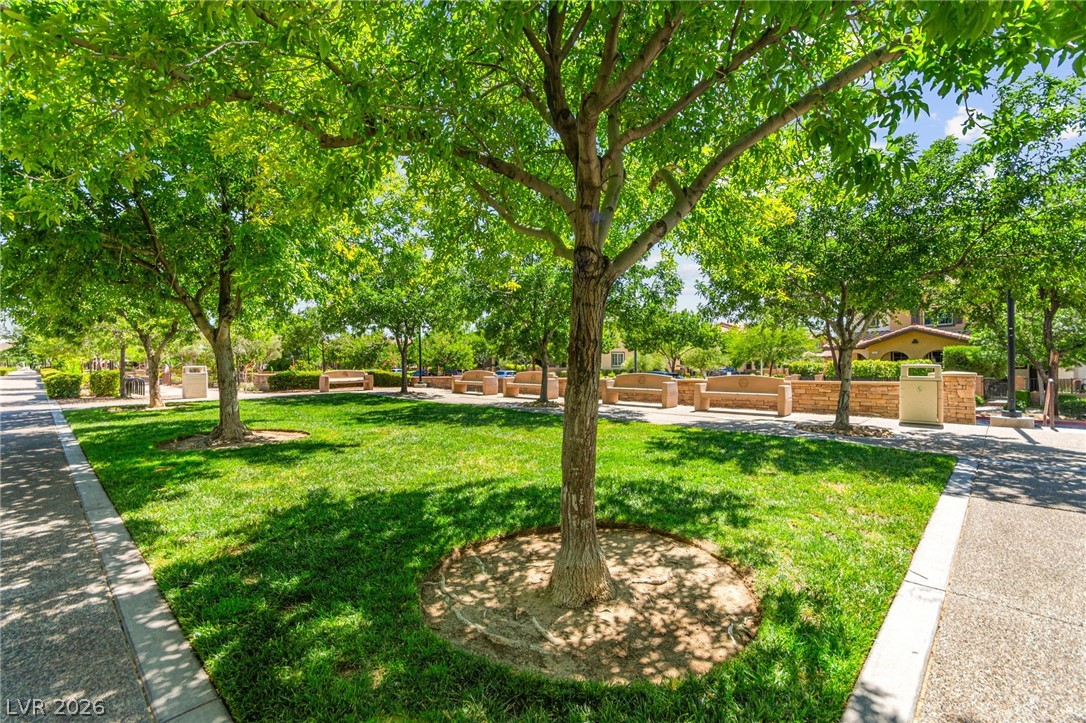 2538 Catallo Street Property Photo 54