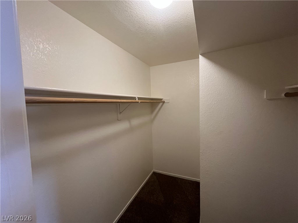 275 Star Cluster Circle Property Photo 22