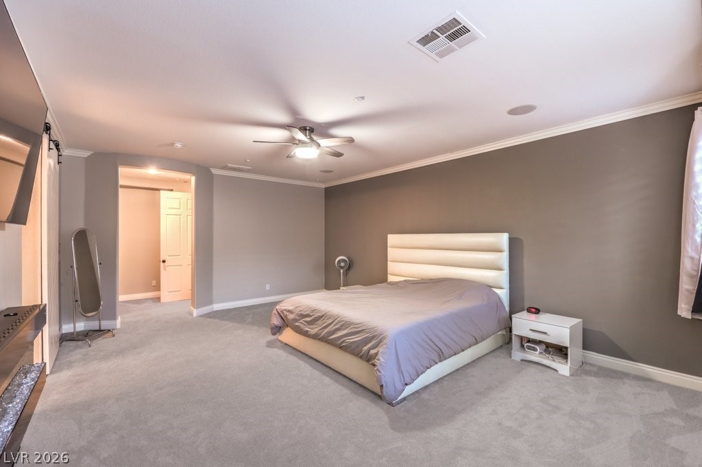 2849 Soaring Peak Avenue Property Photo 27