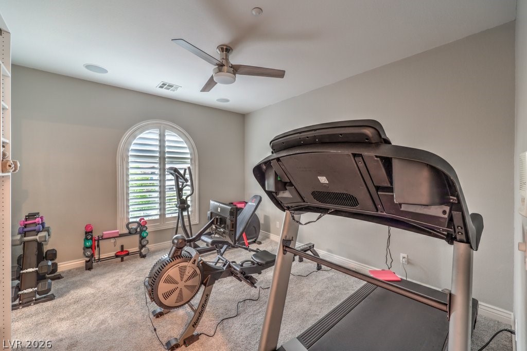 2849 Soaring Peak Avenue Property Photo 35