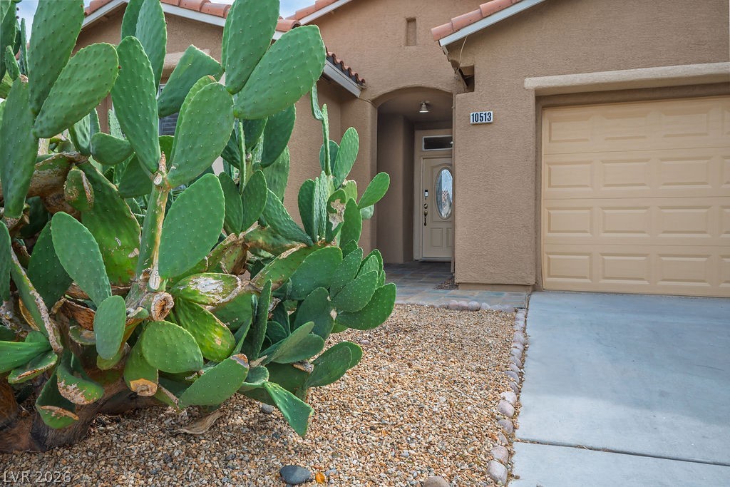 10513 Shanna Trellis Avenue Property Photo 4