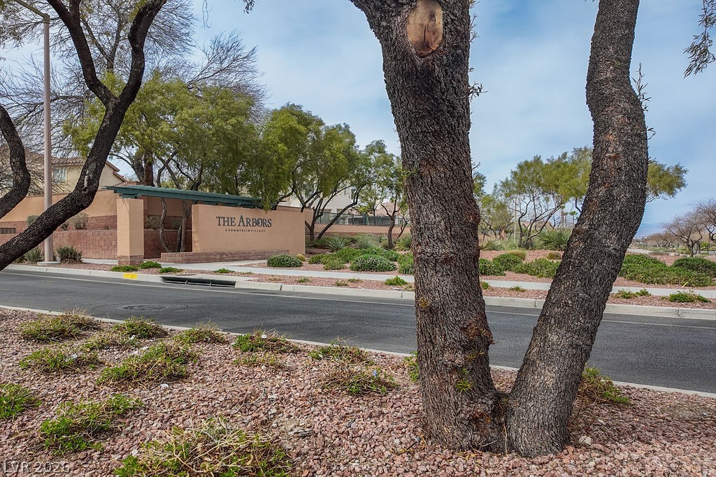 10513 Shanna Trellis Avenue Property Photo 41