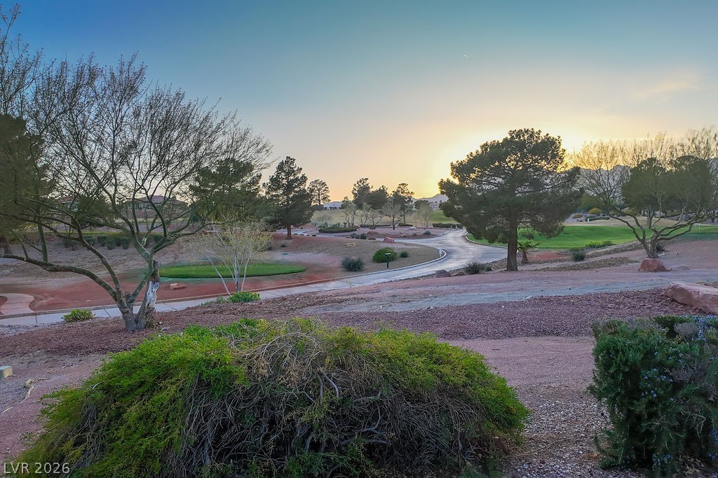 10513 Shanna Trellis Avenue Property Photo 48