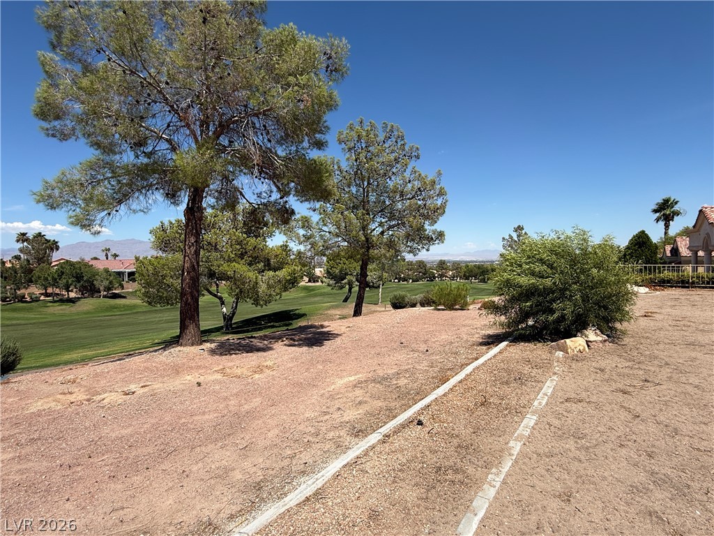 10216 Button Willow Drive Property Photo 35