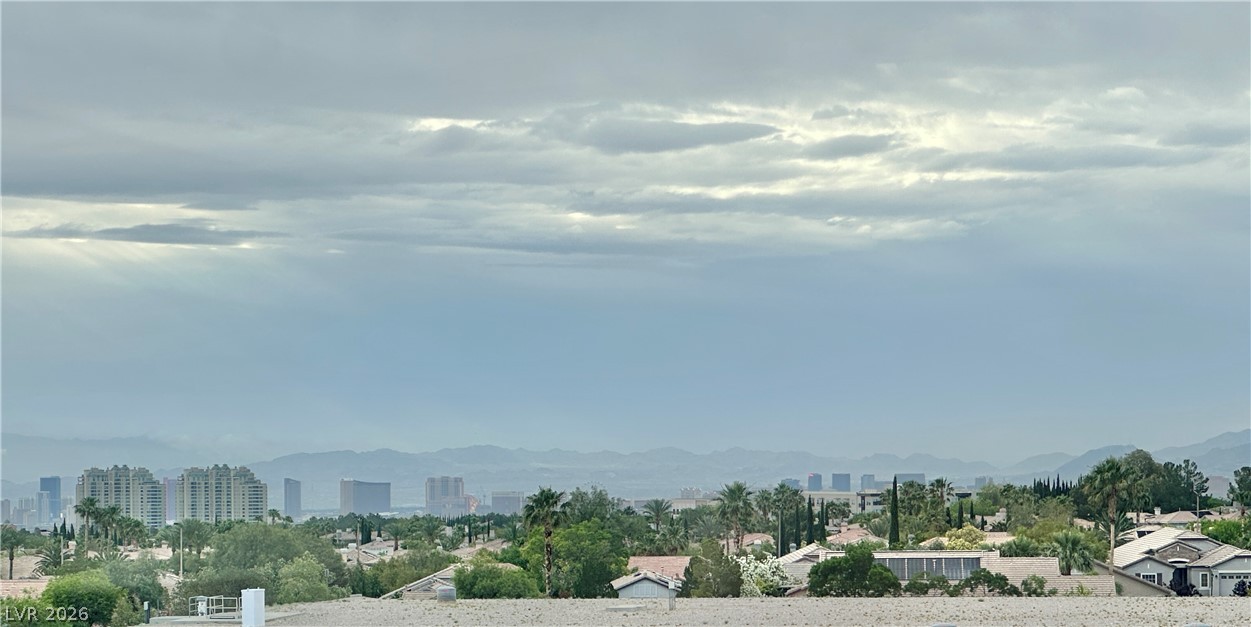10637 Turquoise Valley Drive Property Photo 31