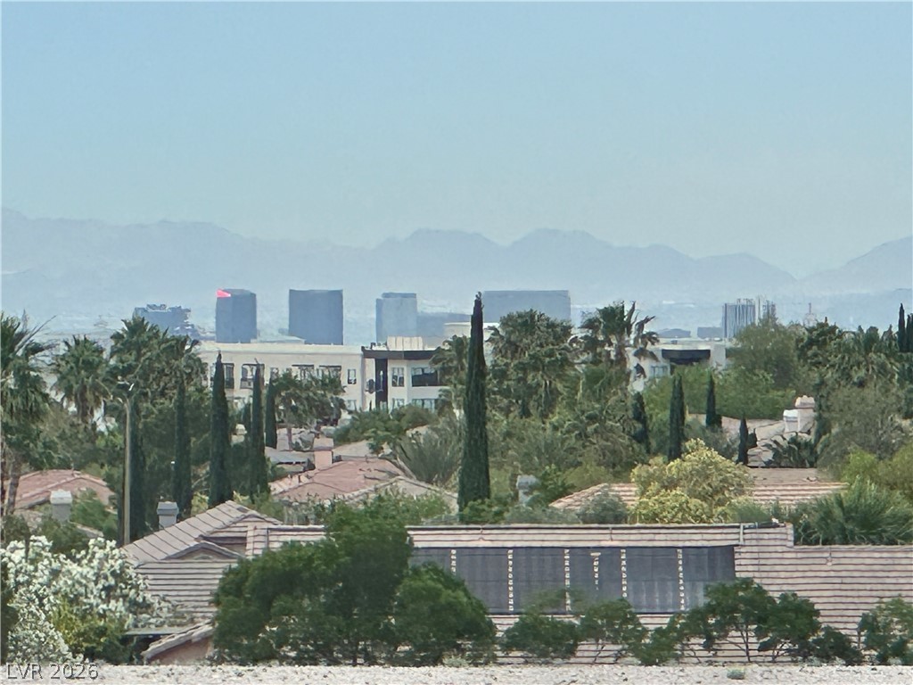 10637 Turquoise Valley Drive Property Photo 63