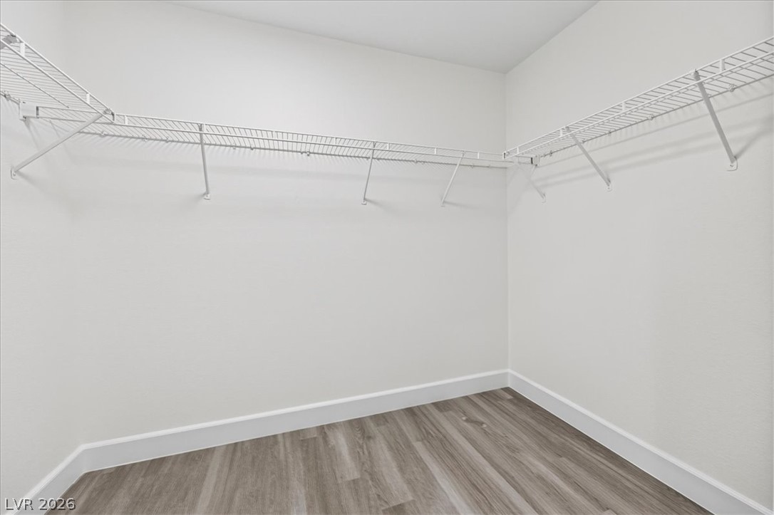 10428 Concetta Avenue Property Photo 20