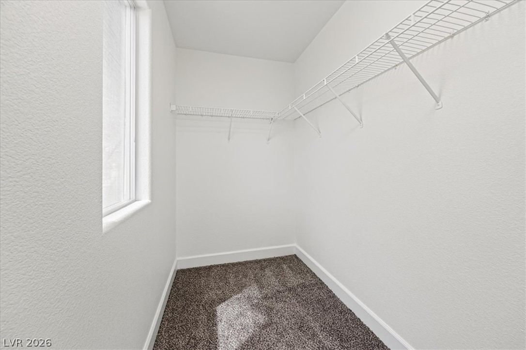 10428 Concetta Avenue Property Photo 25