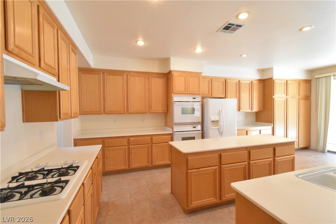 9243 Snow Flower Avenue Property Photo 26
