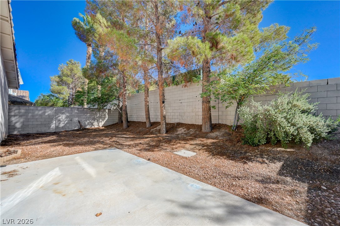 323 Jolly January Avenue Property Photo 34