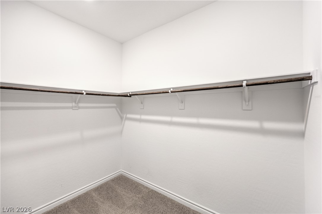 10770 Searchers Avenue Property Photo 30