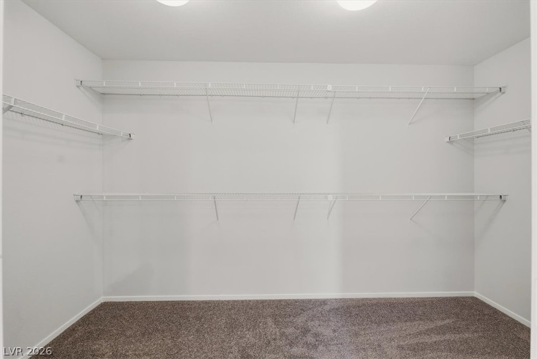 10655 Forum Peak Lane Property Photo 27