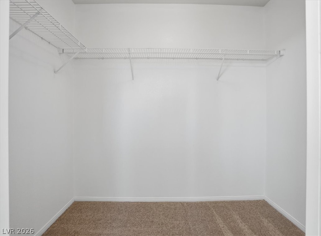 1620 Legato Falls Street Property Photo 37