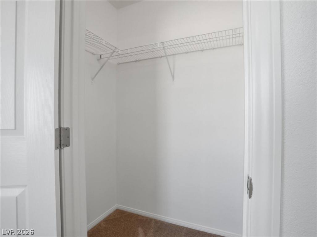 1620 Legato Falls Street Property Photo 42