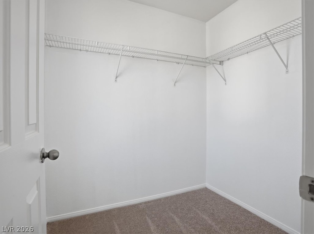 1620 Legato Falls Street Property Photo 46