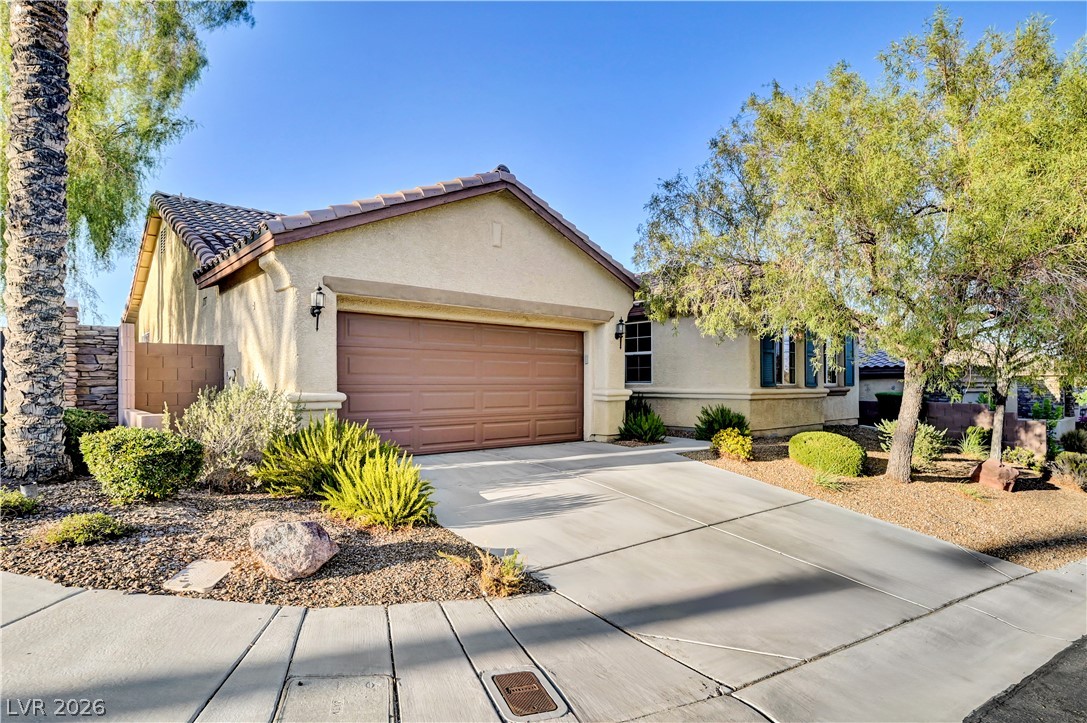 9928 Tradition Creek Avenue Property Photo 3