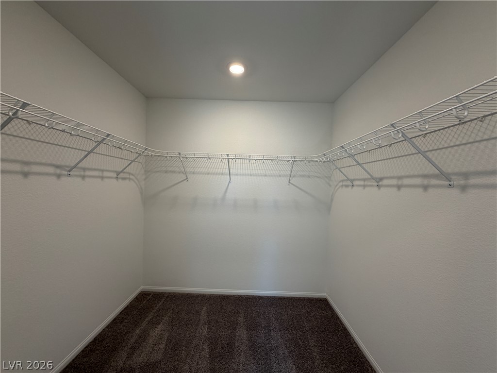 10021 Cooper Mountain Street Property Photo 19