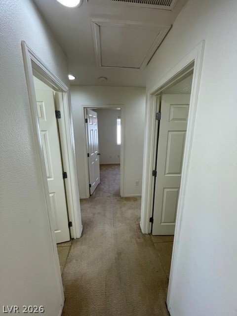 4721 Chino Peak Court Property Photo 18