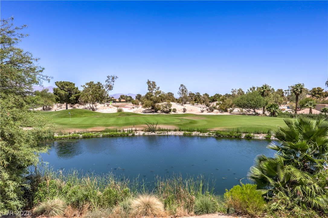 5380 Painted Sunrise Drive Property Photo 45