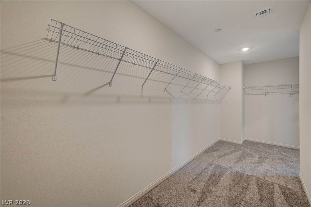 10165 Handline Chute Street Property Photo 30