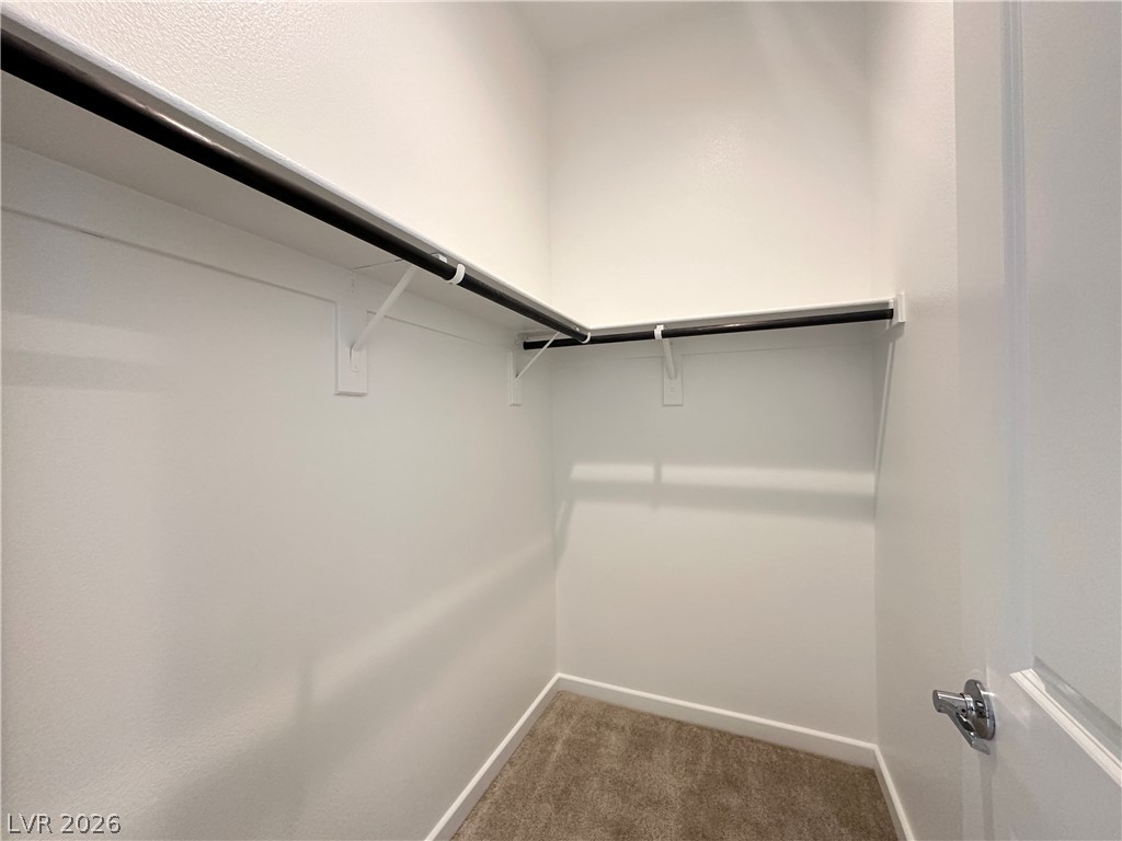 3331 Esker Ridge Avenue Property Photo 22