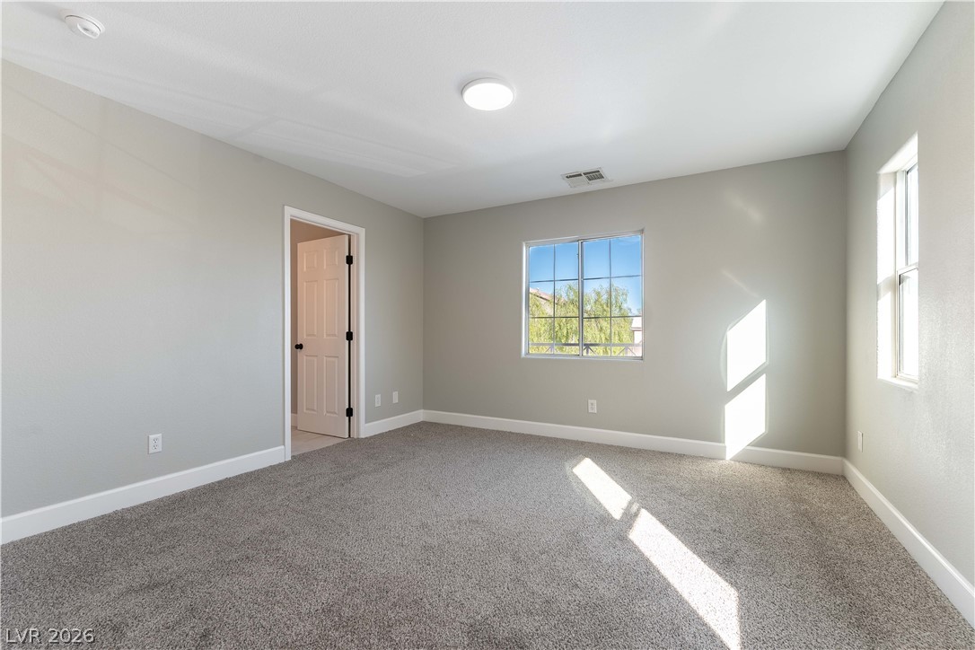 10505 Cold Mountain Avenue Property Photo 19