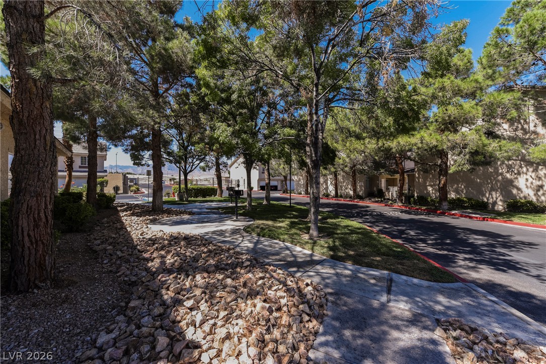 1205 Nevada Sky Street Property Photo 46