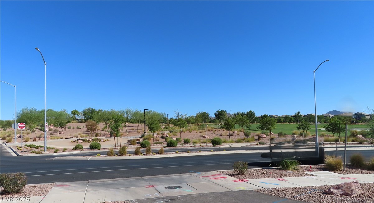 651 Pickled Pepper Place Property Photo 32