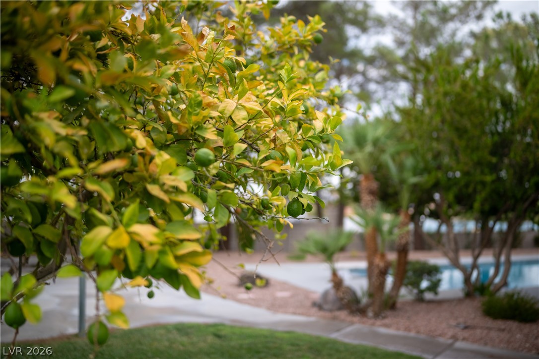 18 Hummingbird Circle Property Photo 16