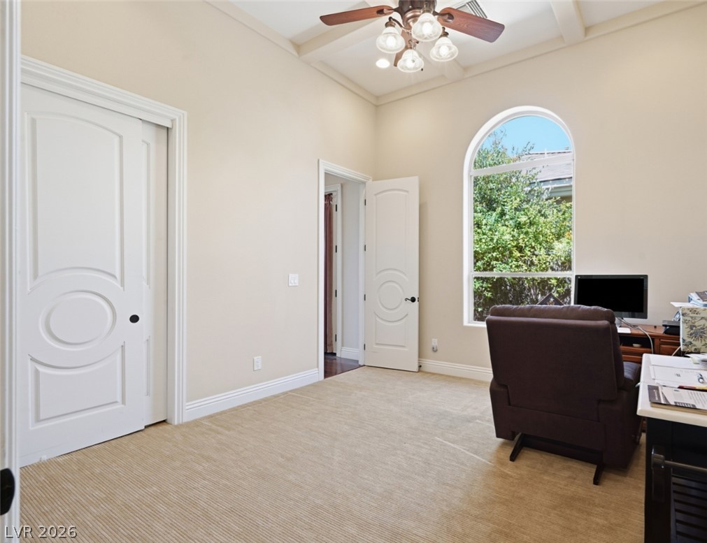 2266 Driftwood Tide Avenue Property Photo 62