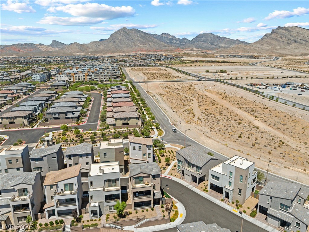 673 Pyrite Will Street Property Photo 42
