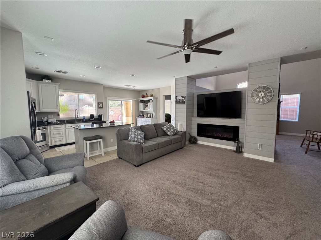 7379 Glorious Sun Drive Property Photo 14