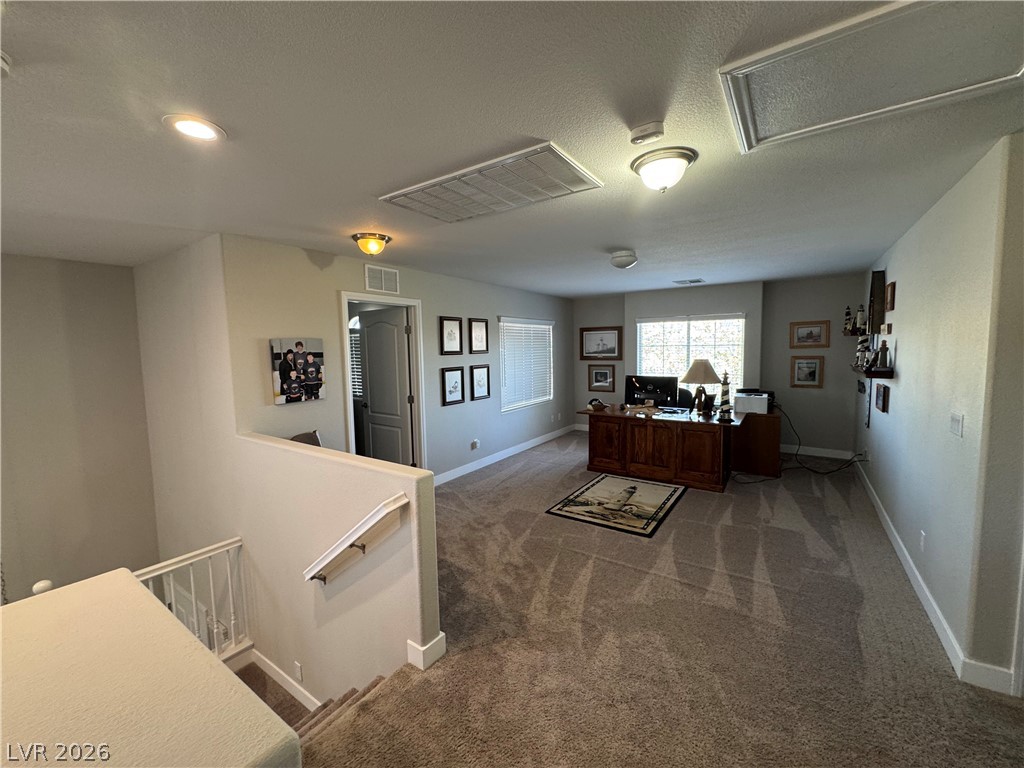 7379 Glorious Sun Drive Property Photo 26